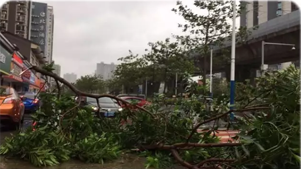 珠海臺風(fēng)災(zāi)害